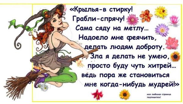 Женщина на метле стихи