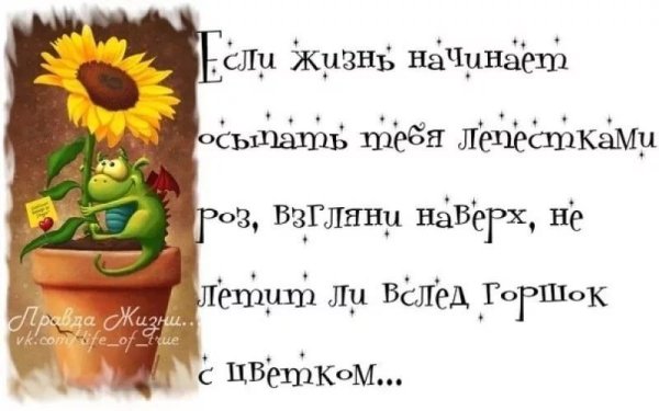 Прикольные высказывания о жизни