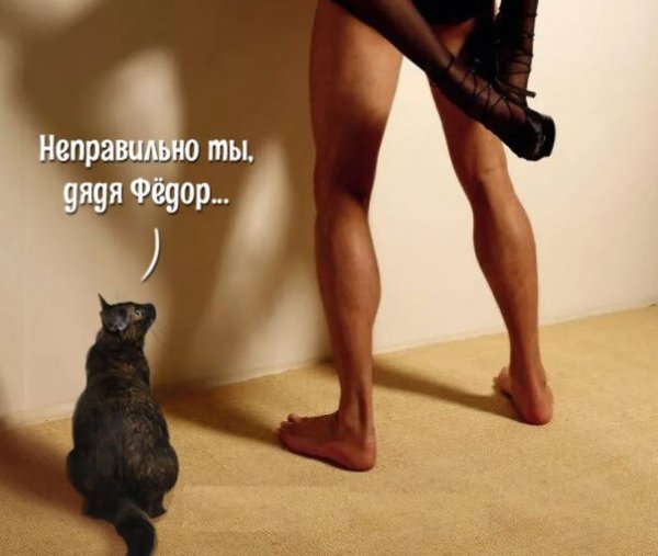 Юмор в картинках с надписями