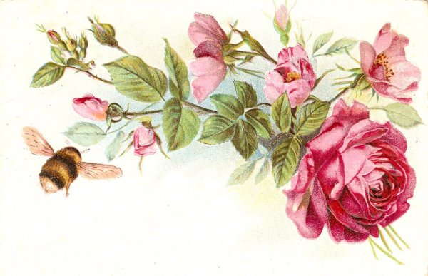 Цветы декупаж