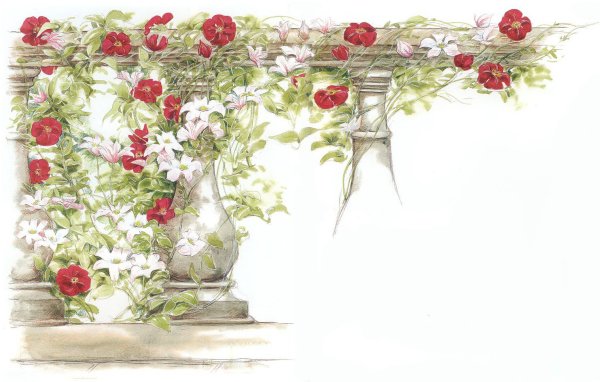 Вьющиеся цветы для декупажа