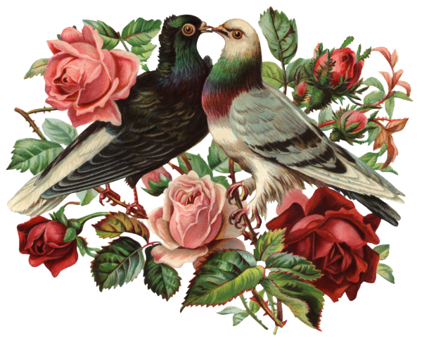 Винтажные птицы цветы