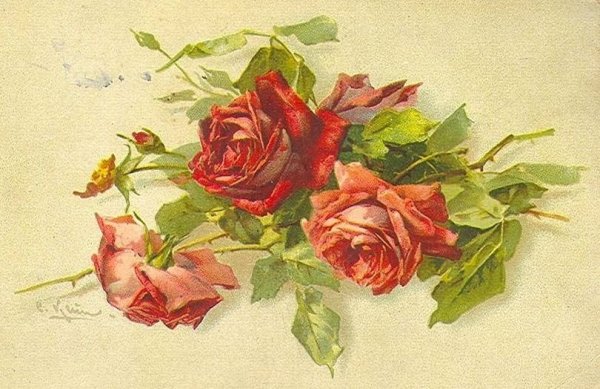 Катарина Кляйн открытки