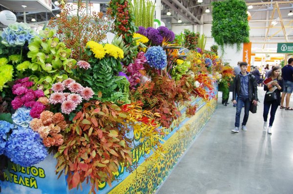 Международную выставку «цветы Экспо
