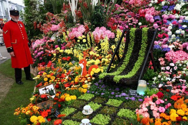 Фестиваль цветов в Челси Chelsea Flower show