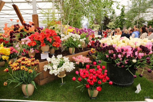 Ярмарка цветов