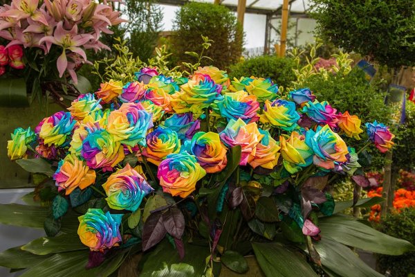 Chelsea Flower show в Великобритании