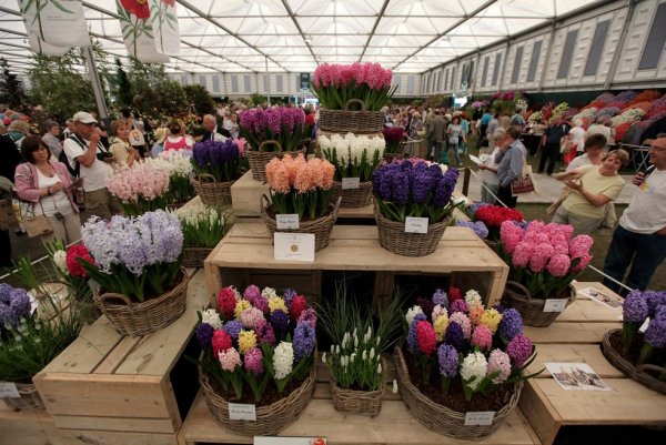Цветы на Ярмарке