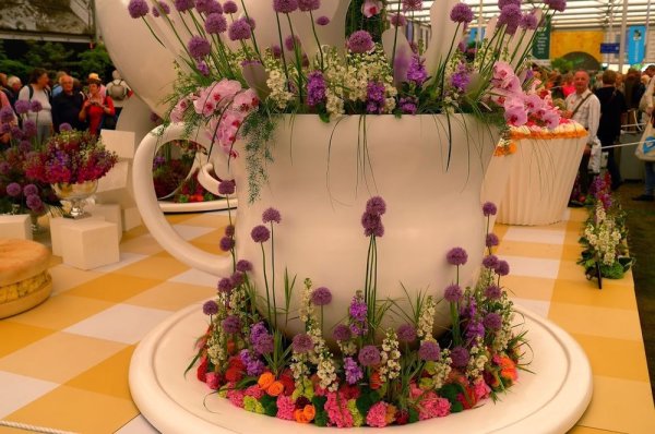 Выставка цветов в Челси Лондон Великобритания