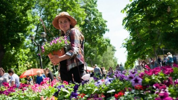 Экспозиция цветов