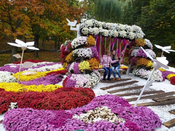 Выставка цветов в детском саду