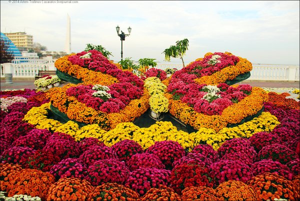 Выставка цветов плодов и овощей