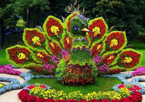 Ялта Никитский Ботанический сад бал хризантем