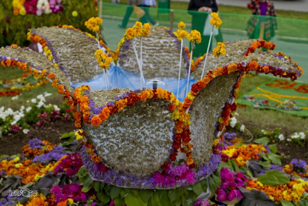 Рассада реклама