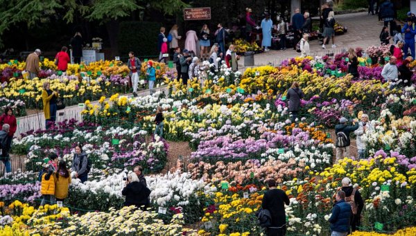 Цветочные композиции на фестиваль цветов