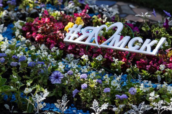 Фестиваль тюльпанов. Кёкенхоф