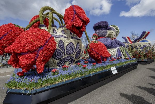 Кёкенхоф Нидерланды парад цветов