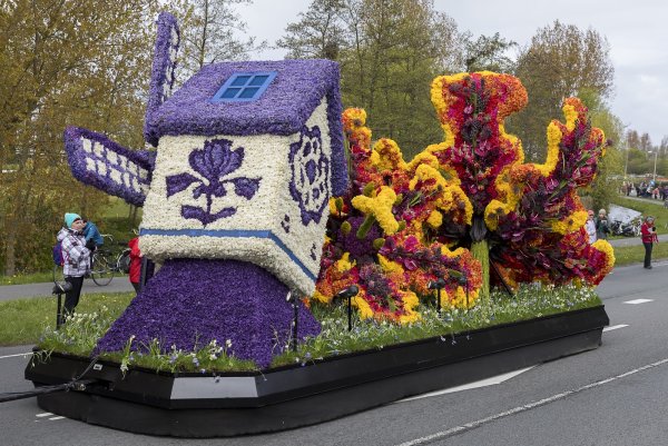 Название выставки цветов