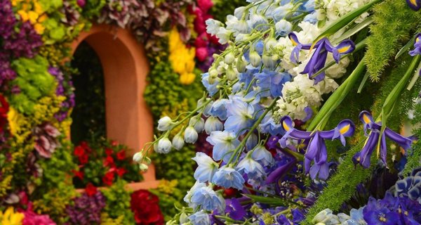 Название выставки цветов