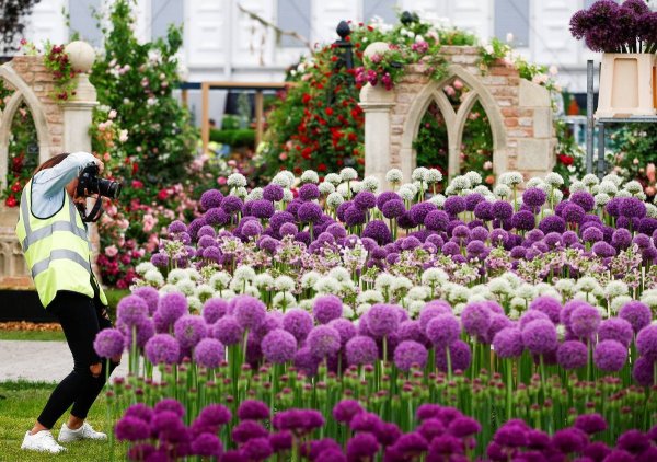 Оформление выставки цветов