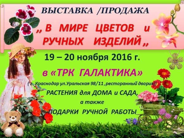 Ницца цветочный базар