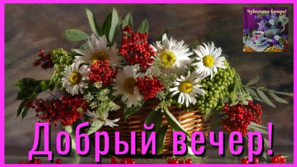 Вечерние полевые цветы с пожеланиями