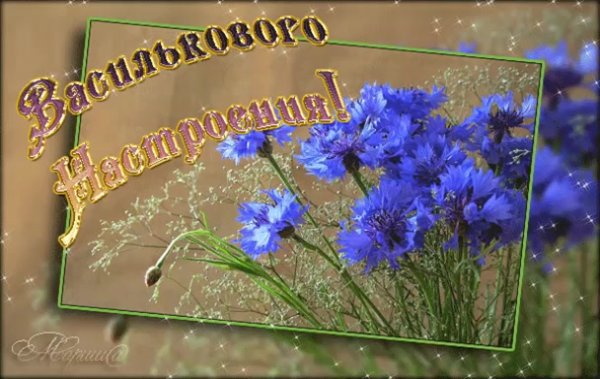 Цветы в синей вазе