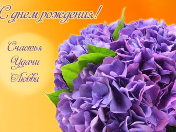 С днем рождения фиолетовые цветы