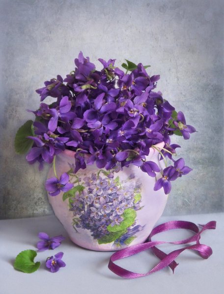 Гете и фиалки