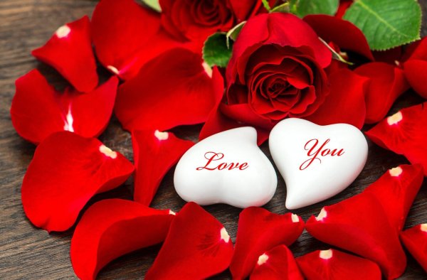 Цветы для любимой