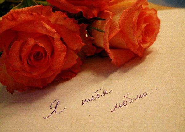 Цветы для любимой