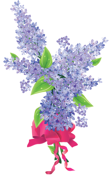 Сирень на прозрачном фоне