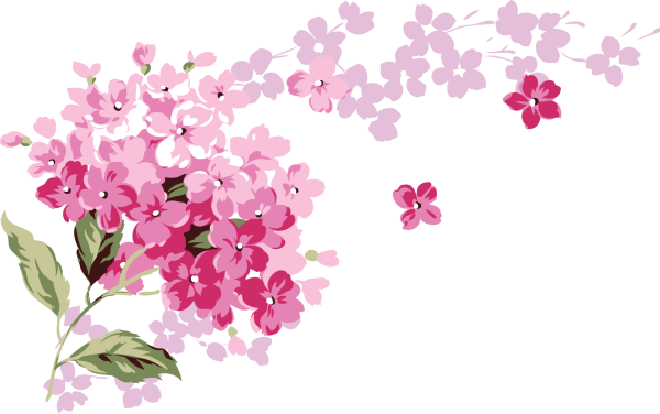 Цветы без фона