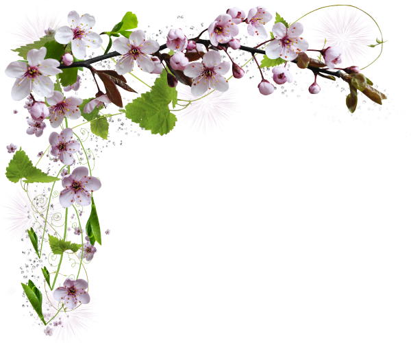 Яблоневый цвет рамка