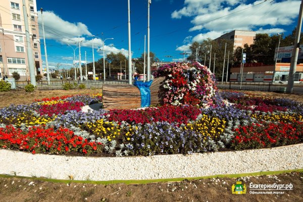 Цветы на клумбу Екатеринбург