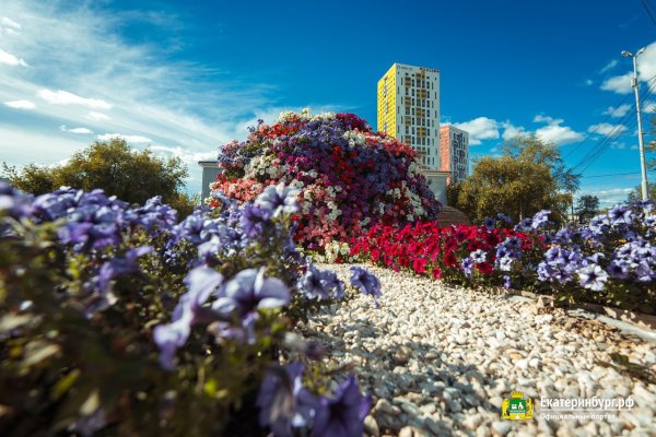 Растения Екатеринбурга