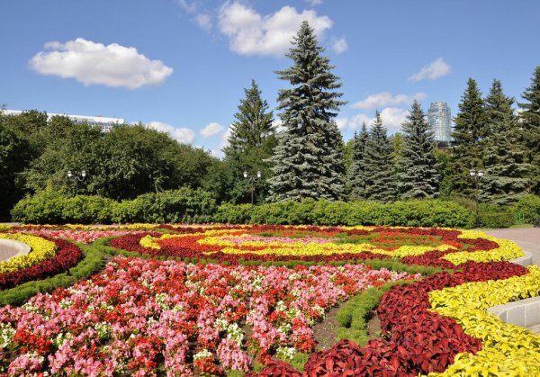 Дендрологический парк Екатеринбург