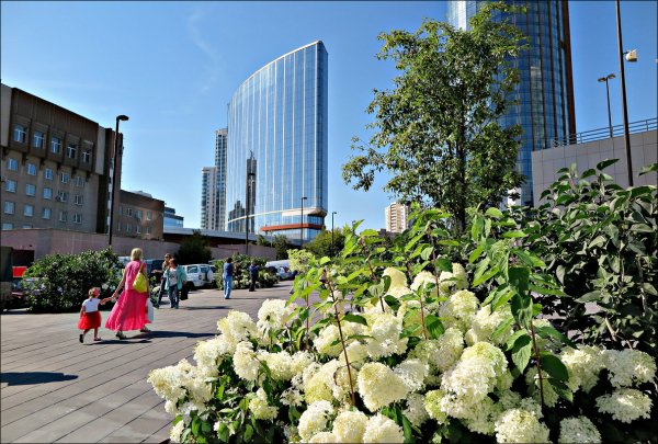 Выставка белый цветок Екатеринбург