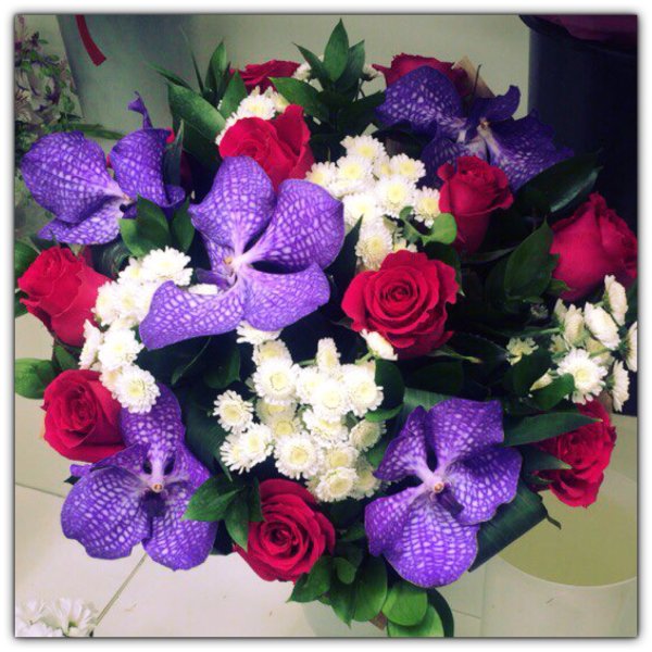 Парк Царицыно тюльпаны