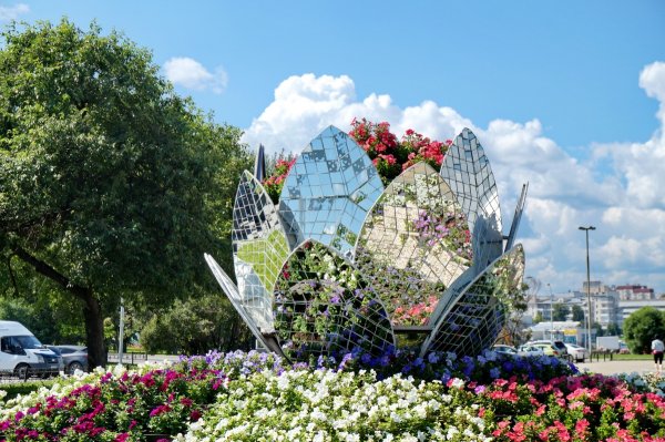 Белый цветок 2022 Екатеринбург