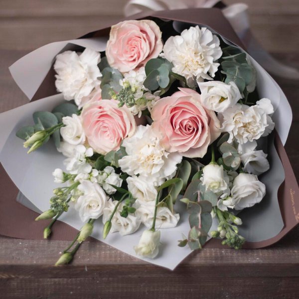 Цветник кохия бархатцы цинерария