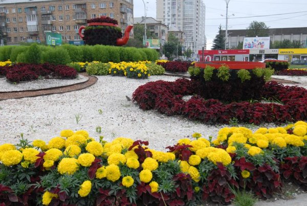 Уральская роза