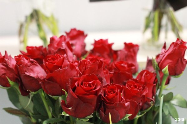 Красивые недорогие букеты