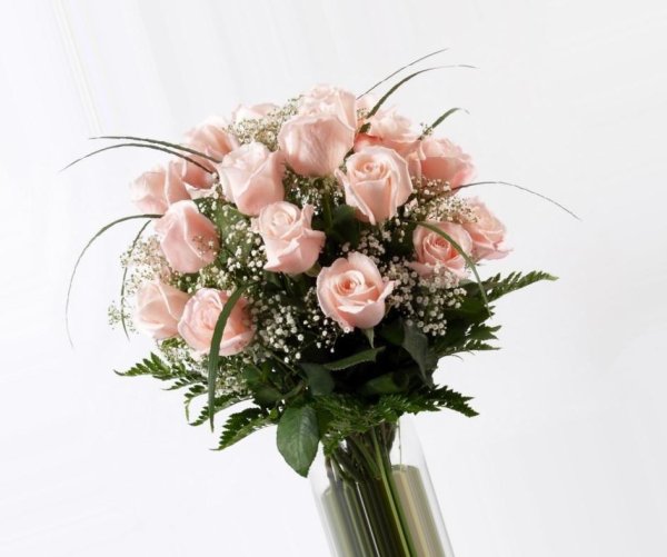 Растения Екатеринбурга