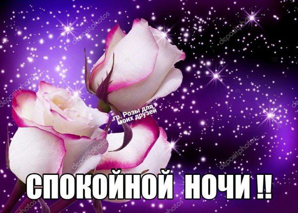 Спокойной ночи девушке цветы