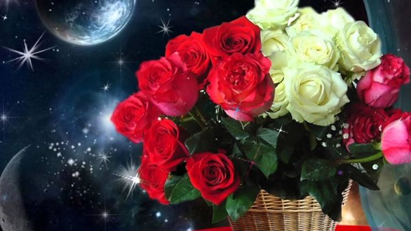 Цветы с пожеланием спокойной ночи