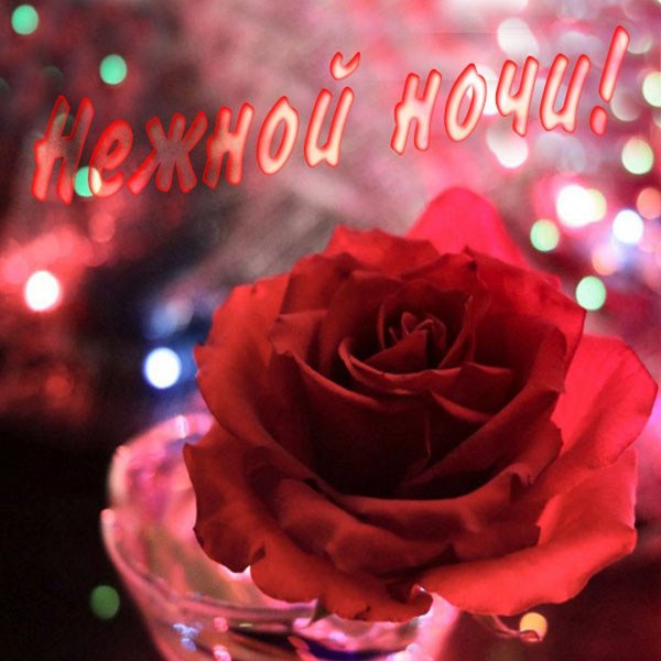 Спокойной ночи цветы
