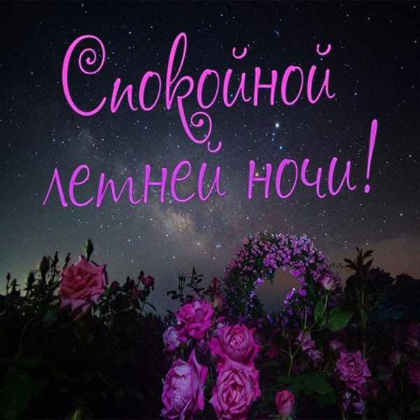 Спокойной ночи Василек