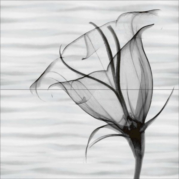 Прозрачные цветы