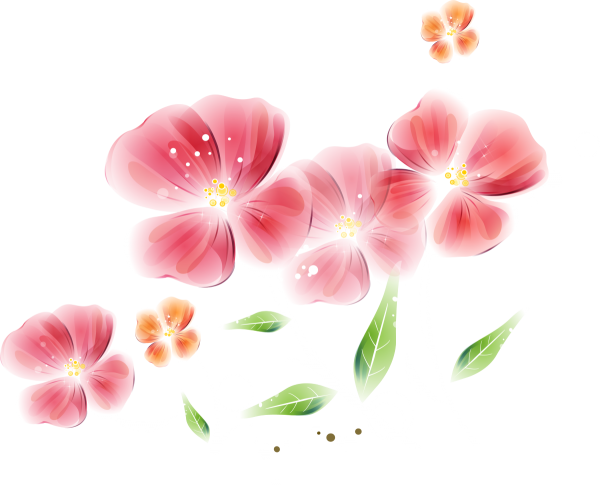 Albert Koetsier Magnolia